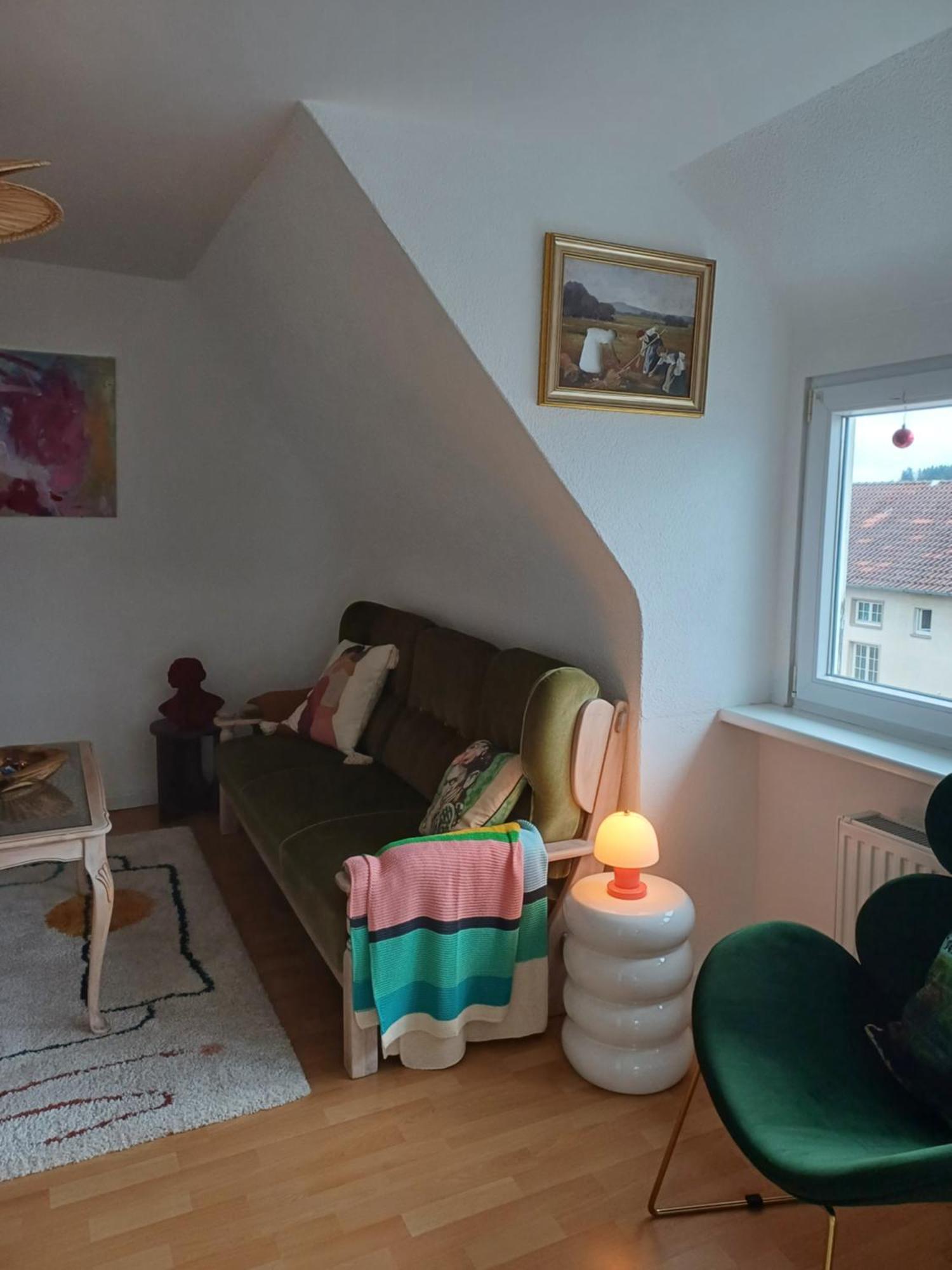 Blick Auf Den Magdalenenberg Appartement Villingen-Schwenningen Buitenkant foto